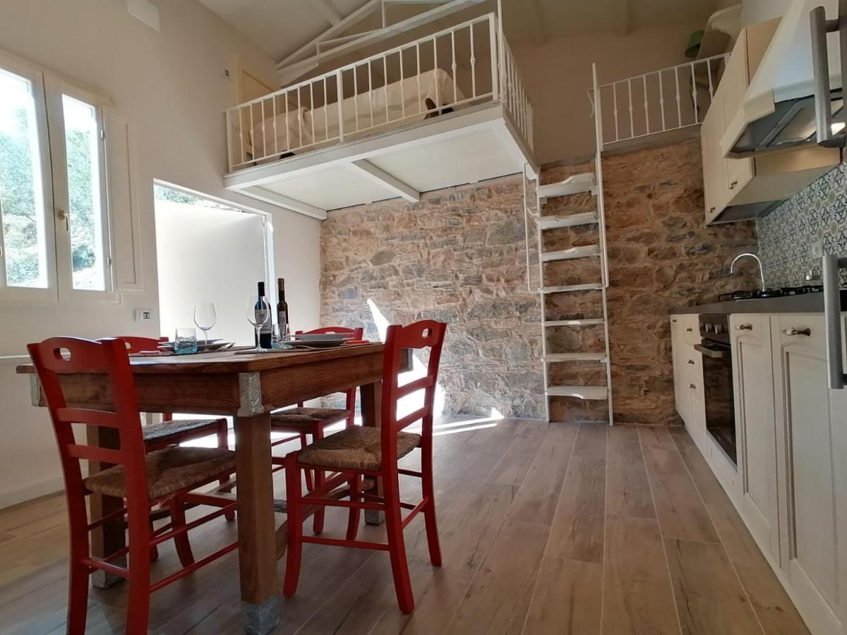 Fattoria Ceragioli Villa Camaiore Ngoại thất bức ảnh