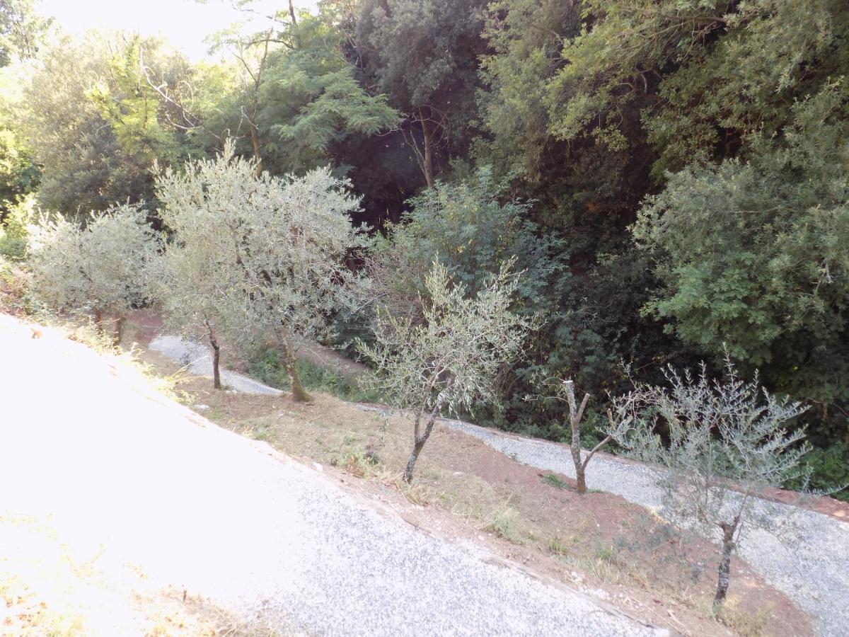 Fattoria Ceragioli Villa Camaiore Ngoại thất bức ảnh