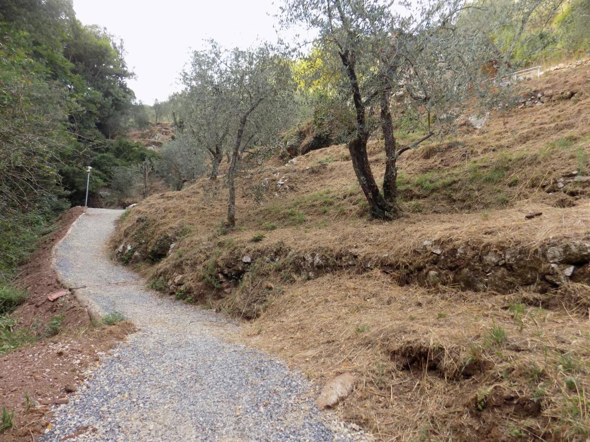 Fattoria Ceragioli Villa Camaiore Ngoại thất bức ảnh