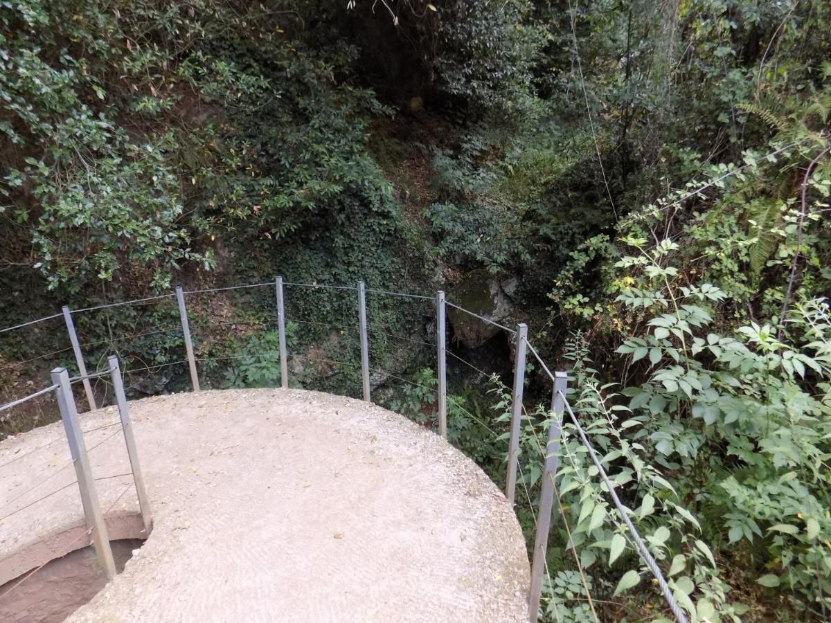 Fattoria Ceragioli Villa Camaiore Ngoại thất bức ảnh