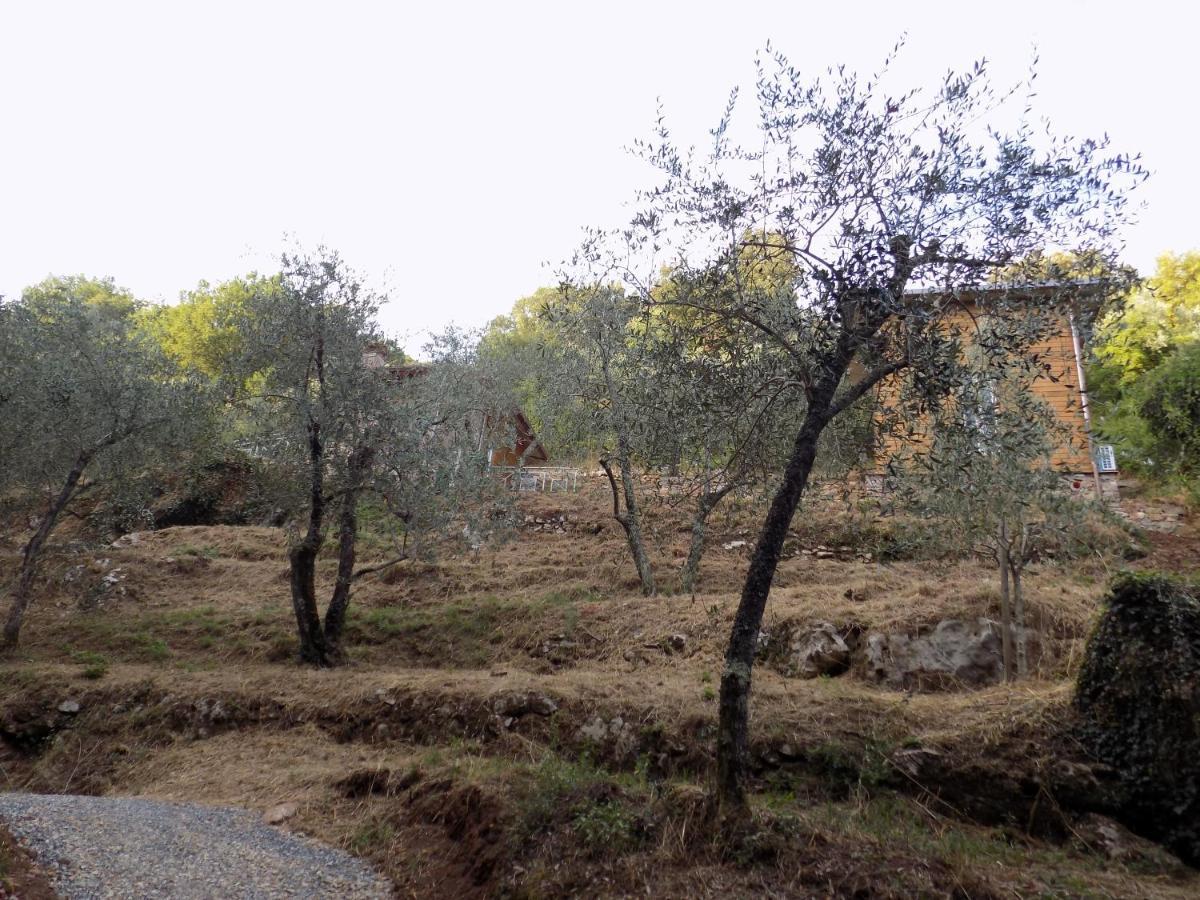 Fattoria Ceragioli Villa Camaiore Ngoại thất bức ảnh