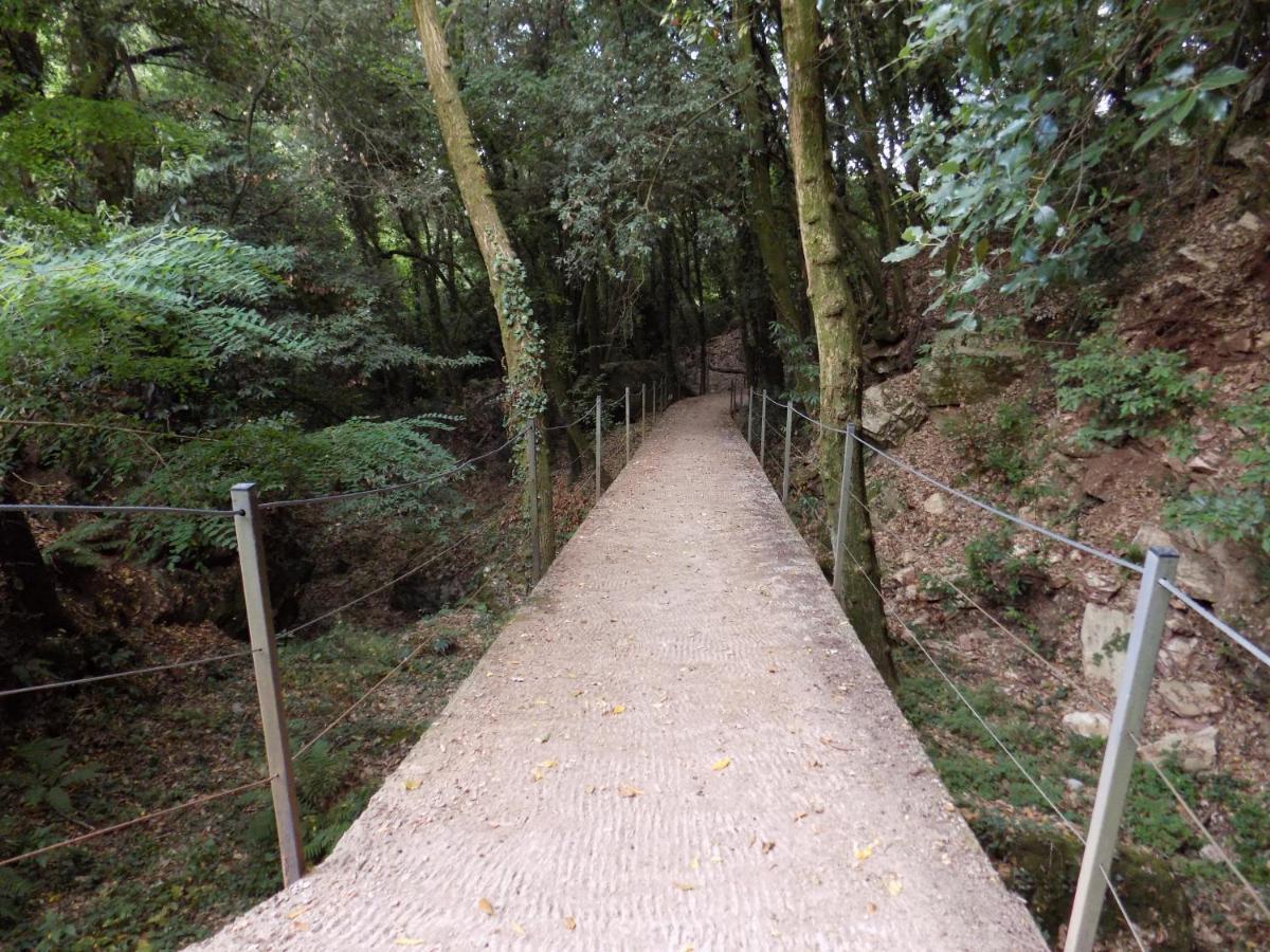 Fattoria Ceragioli Villa Camaiore Ngoại thất bức ảnh
