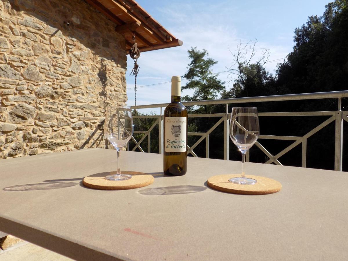 Fattoria Ceragioli Villa Camaiore Ngoại thất bức ảnh