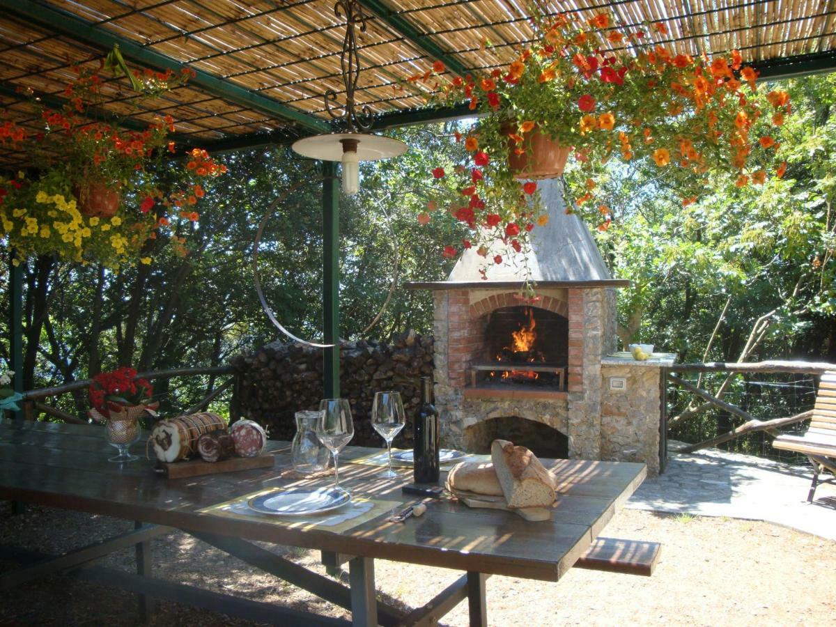 Fattoria Ceragioli Villa Camaiore Ngoại thất bức ảnh