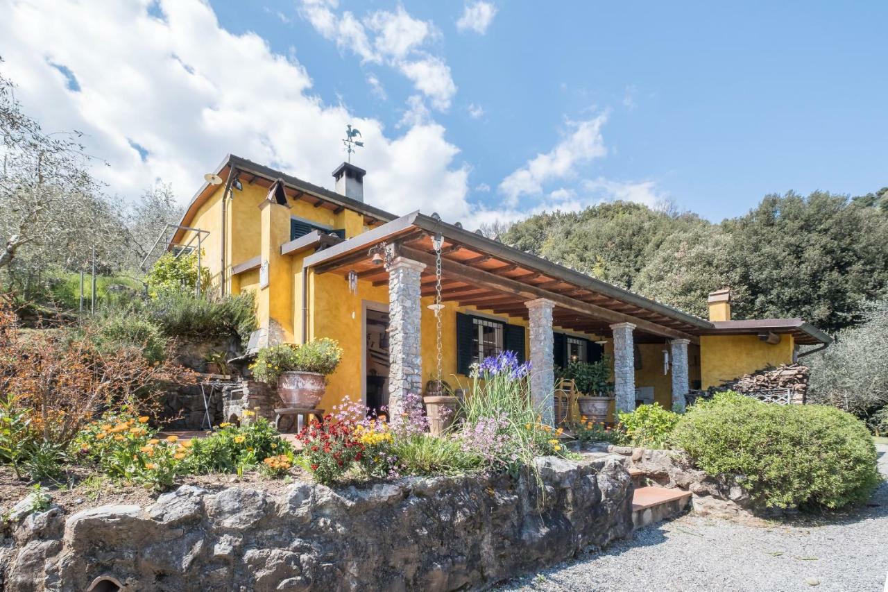 Fattoria Ceragioli Villa Camaiore Ngoại thất bức ảnh
