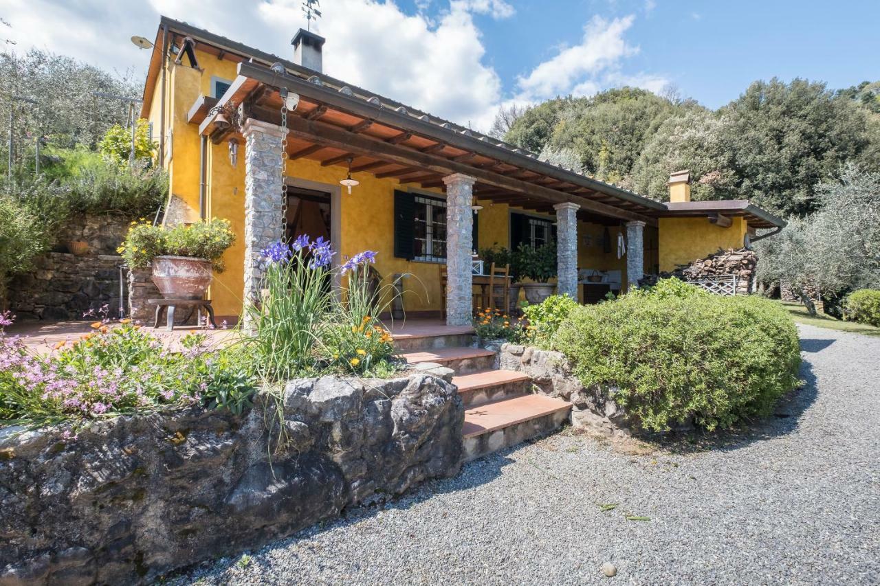 Fattoria Ceragioli Villa Camaiore Ngoại thất bức ảnh
